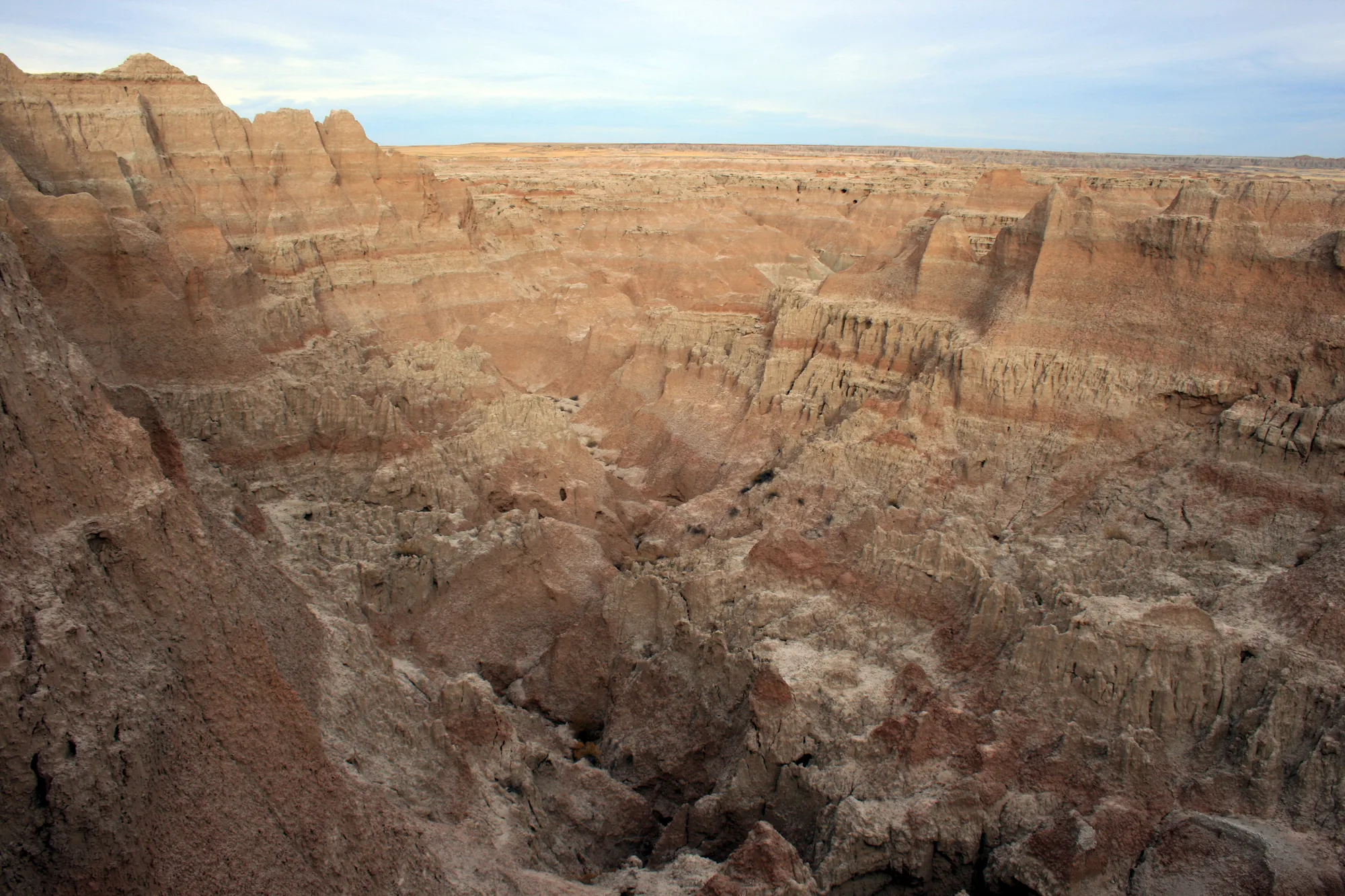 Sage Creek prairie, Badlands National Park
