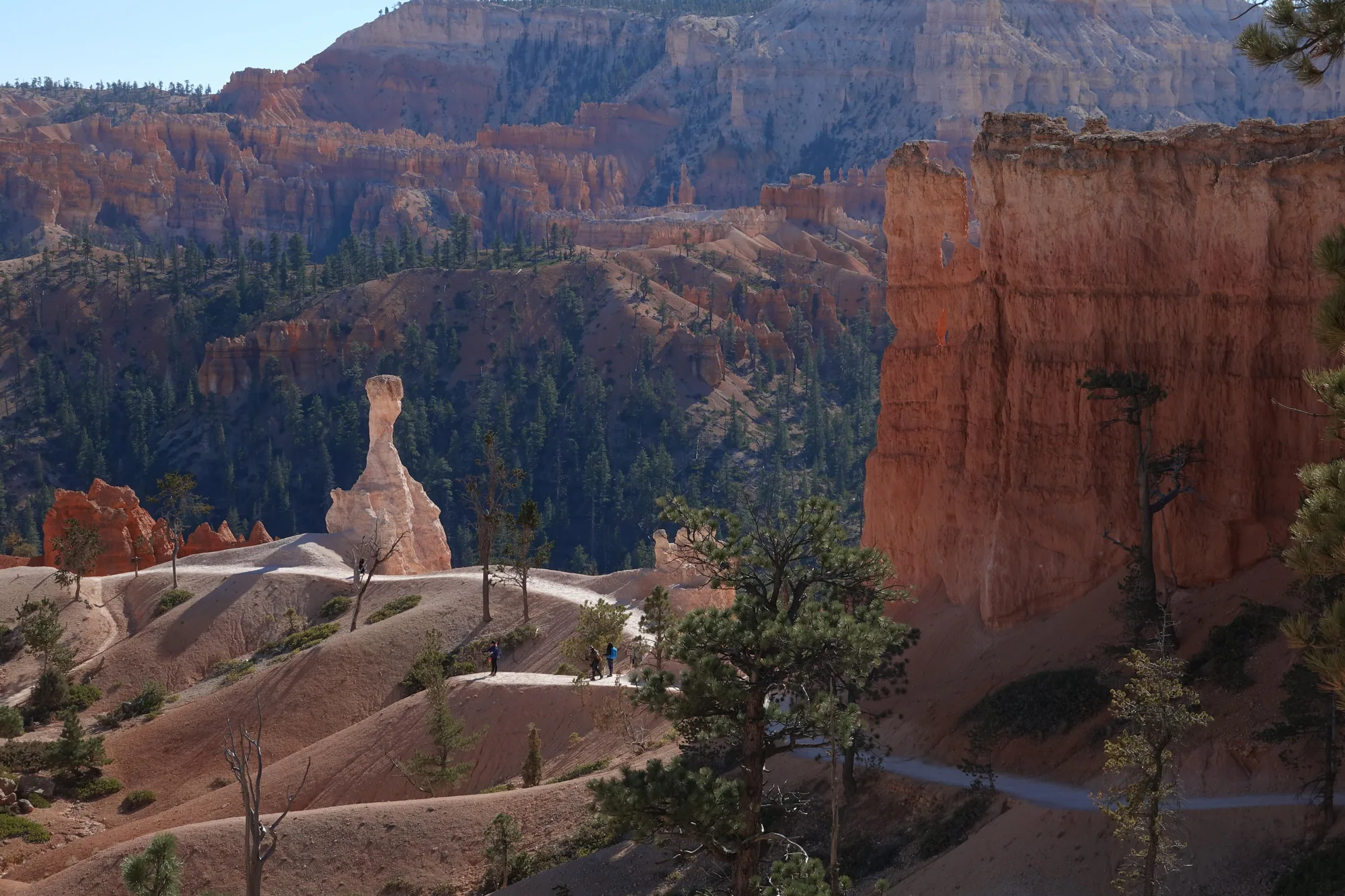 Hikers on the trail below the rim among orange hoodoo spires, Bryce Canyon National Park