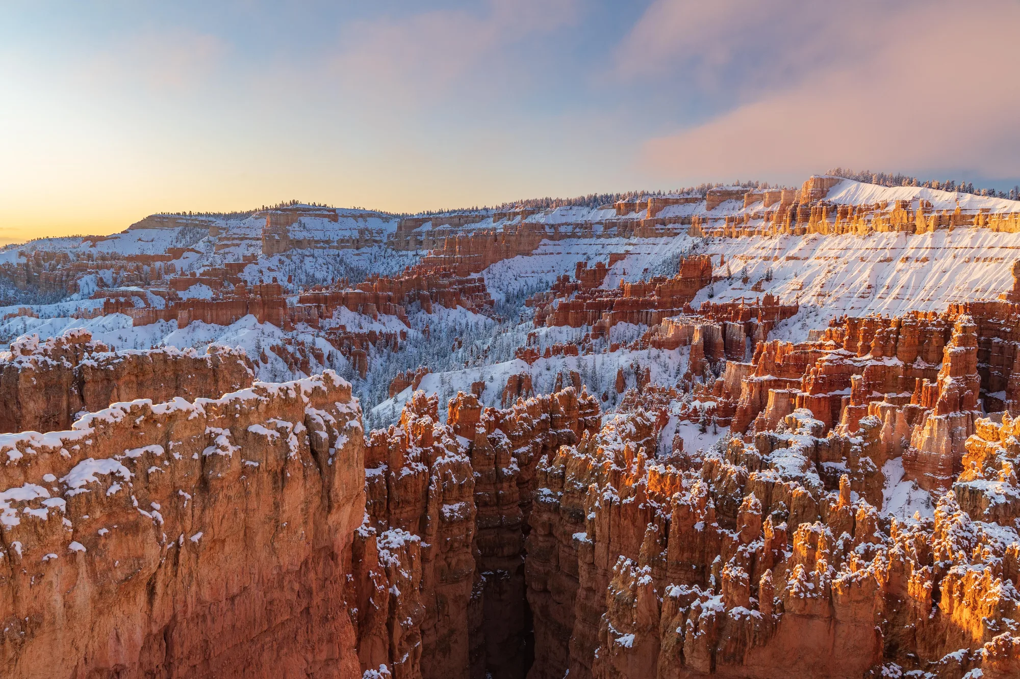 Bryce Amphitheater at first light, snow on the hoodoos, Bryce Canyon National Park