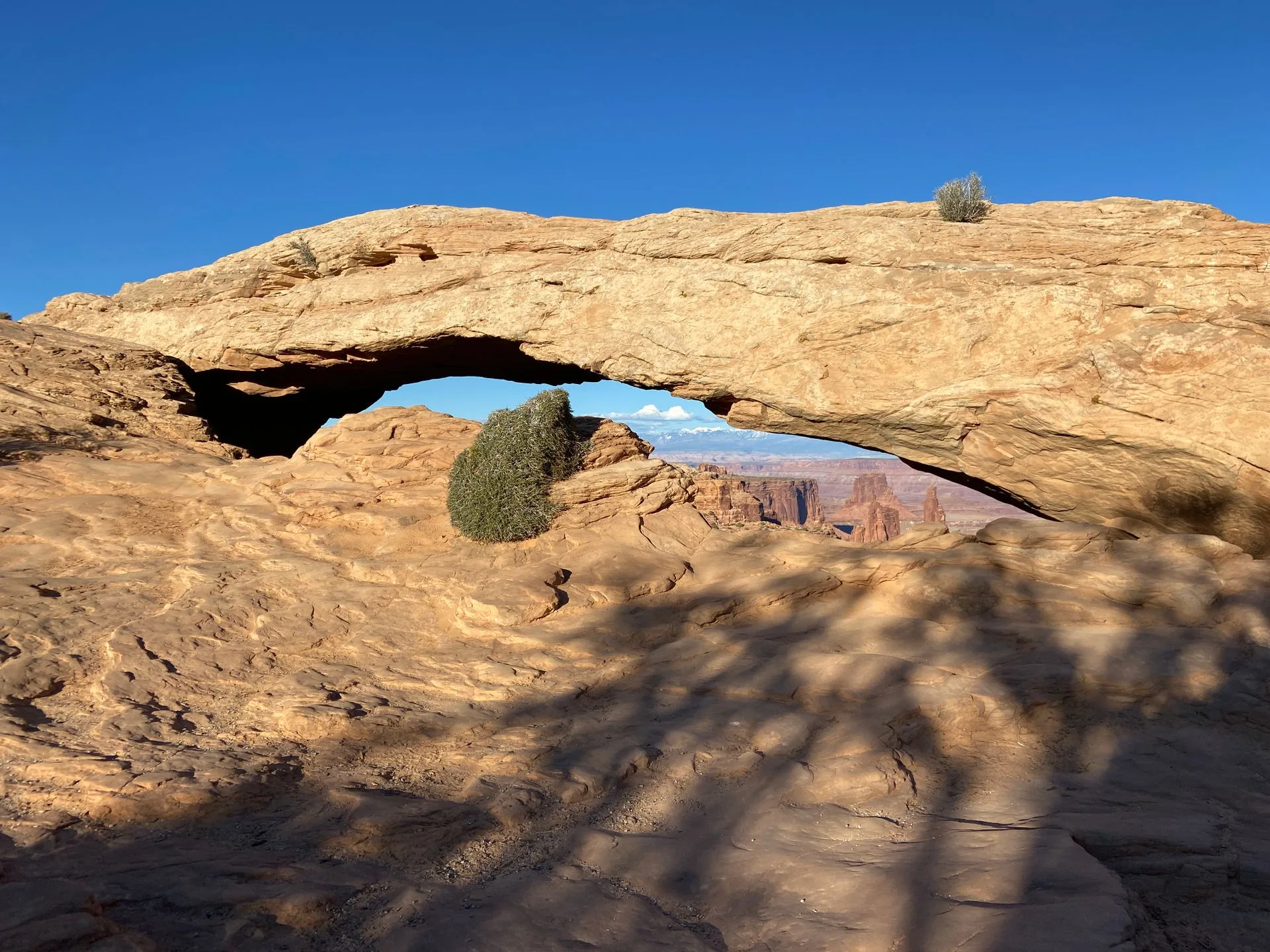 Sandstone canyon walls, Canyonlands National Park