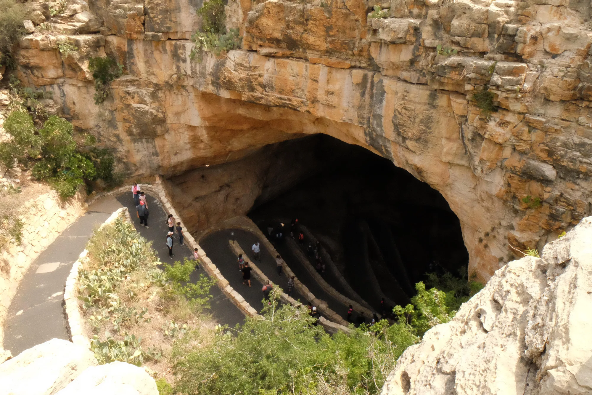 Natural Entrance Trail through Capitan Reef limestone at Carlsbad Caverns National Park, New Mexico