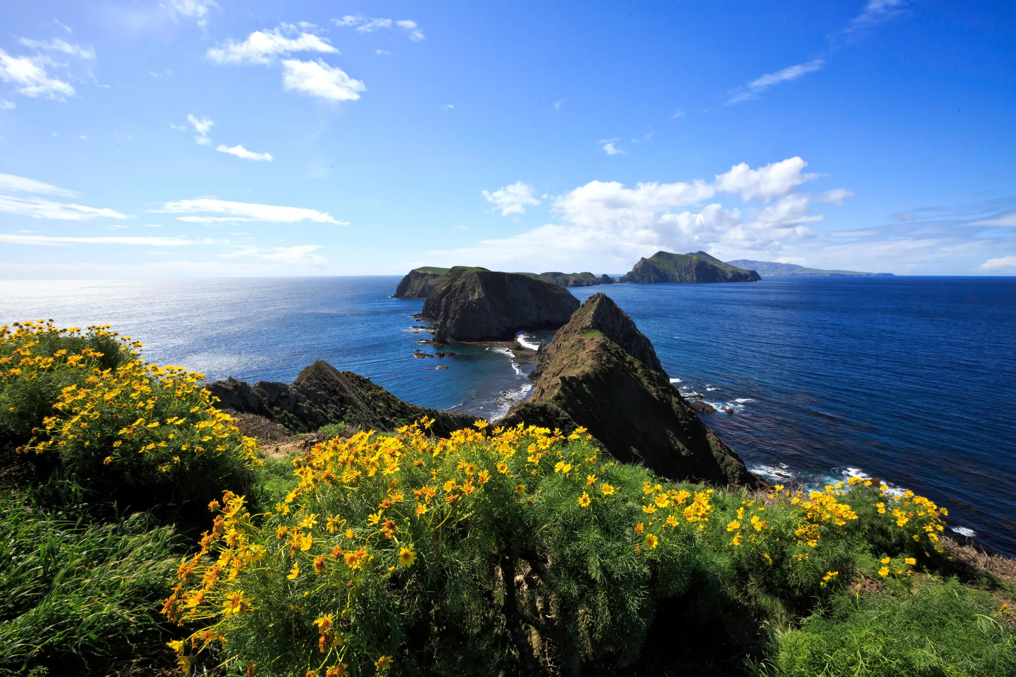 The rugged terrain of Channel Islands National Park, California, near where Arlington Springs Man was discovered on Santa Rosa Island