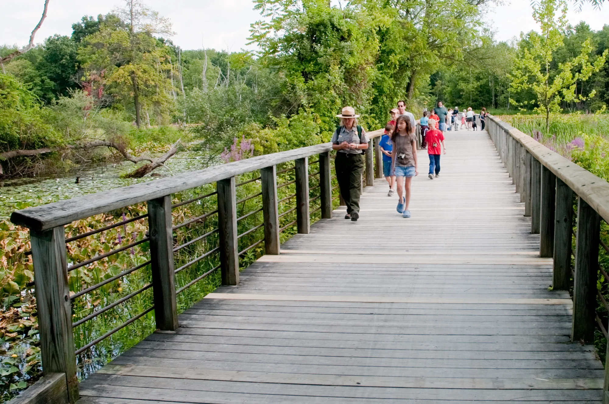 Boardwalk through the Beaver Marsh wetland, a former salvage yard, Cuyahoga Valley National Park