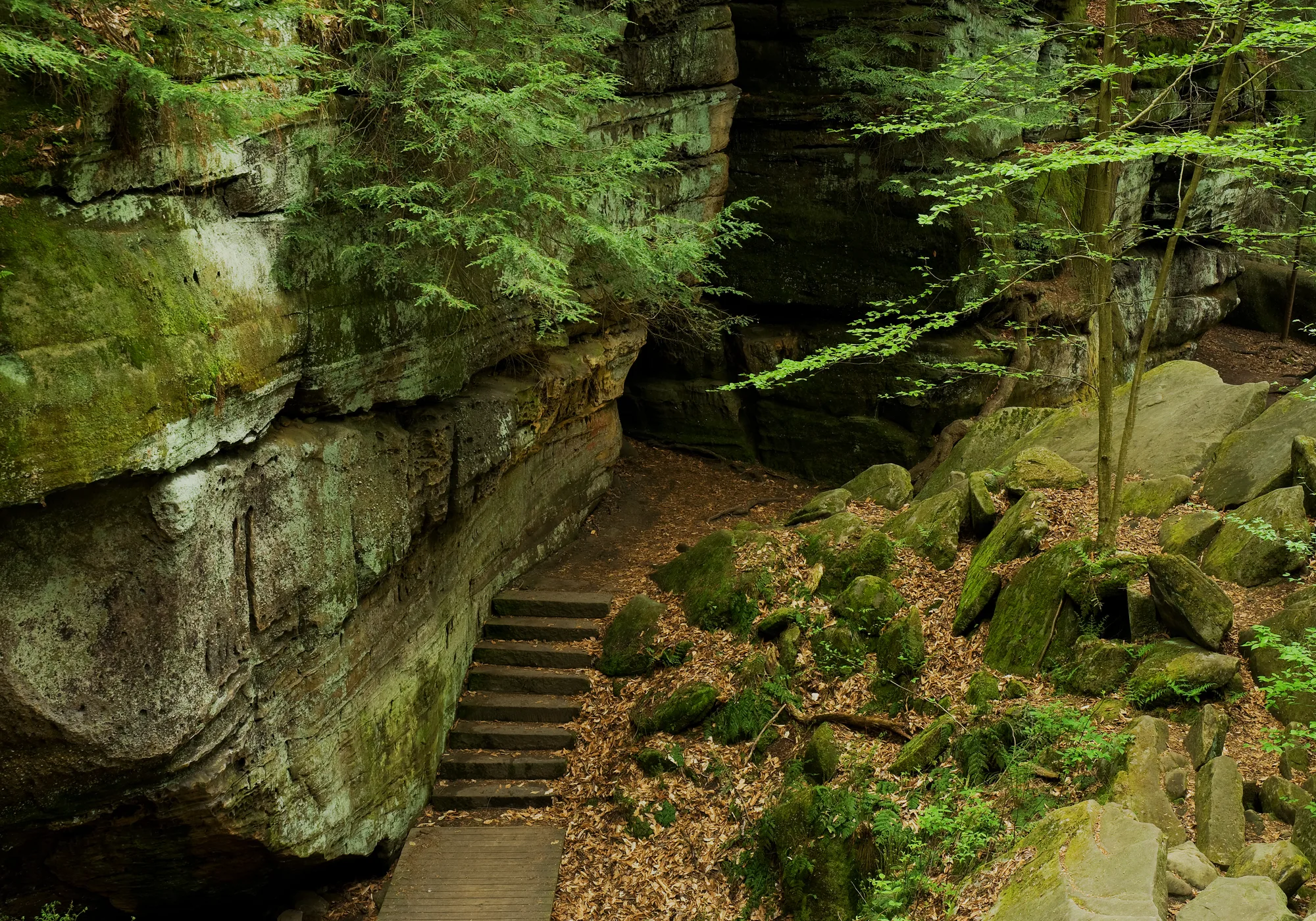 Sandstone cliffs of the Ritchie Ledges, Cuyahoga Valley National Park