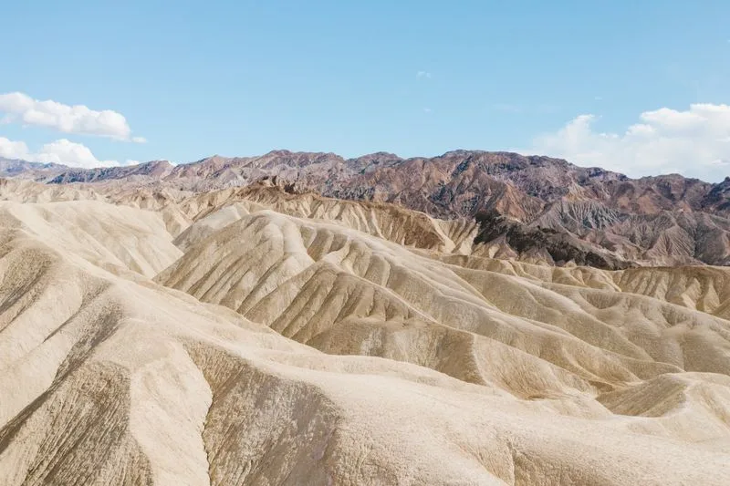 Salt flat terrain near a desert spring, Death Valley National Park