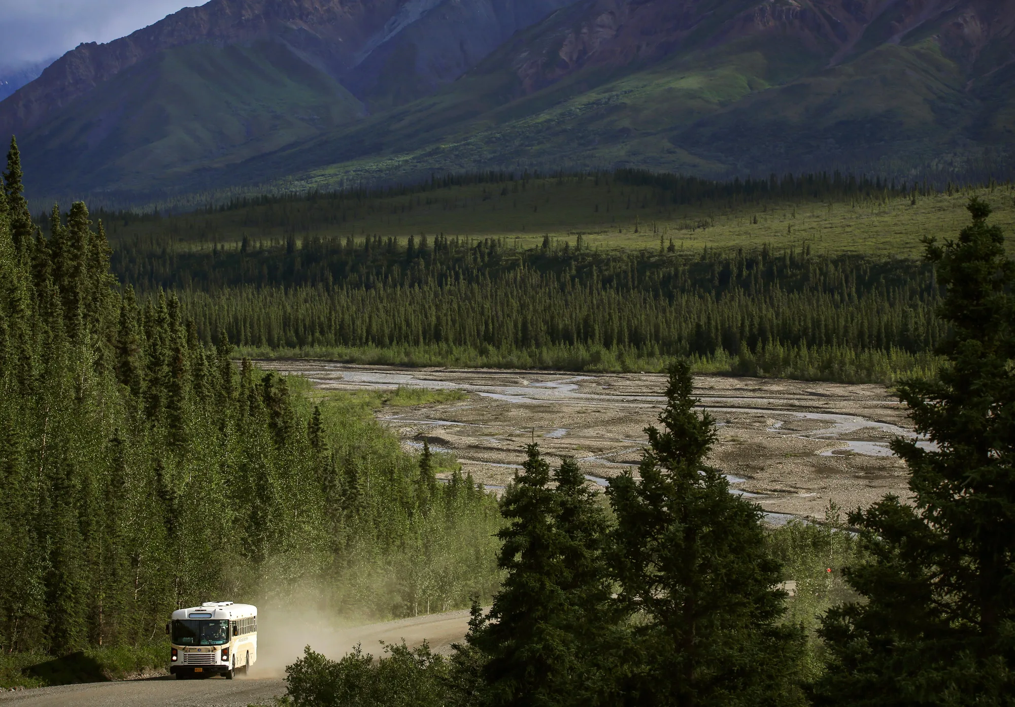 Backcountry road near Denali National Park headquarters, close to the sled dog kennels