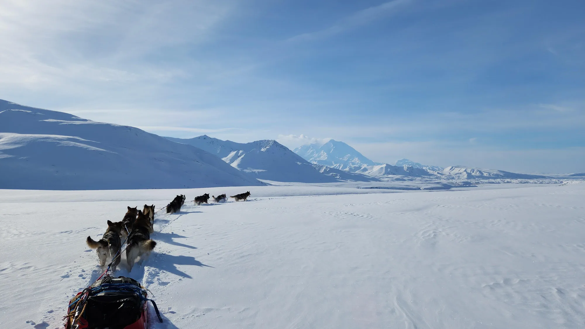 Denali rising above the Alaska Range, Denali National Park