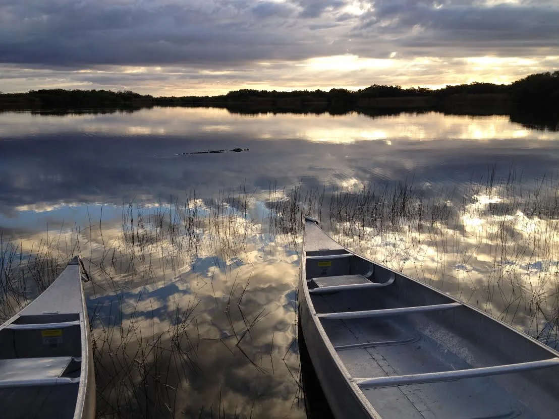 Sawgrass prairie at Shark Valley, Everglades National Park