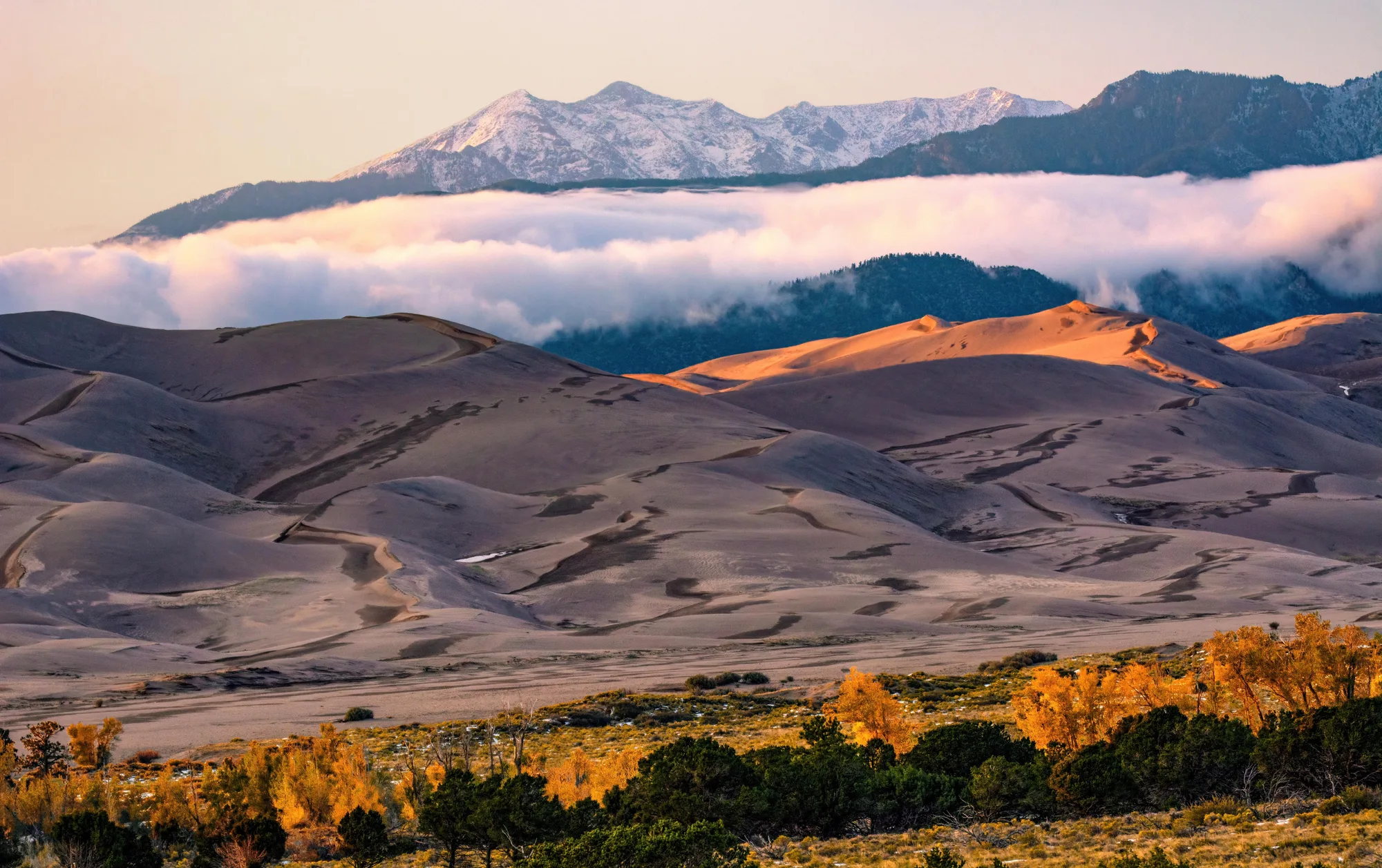 Star Dune, the tallest dune in North America, at Great Sand Dunes National Park