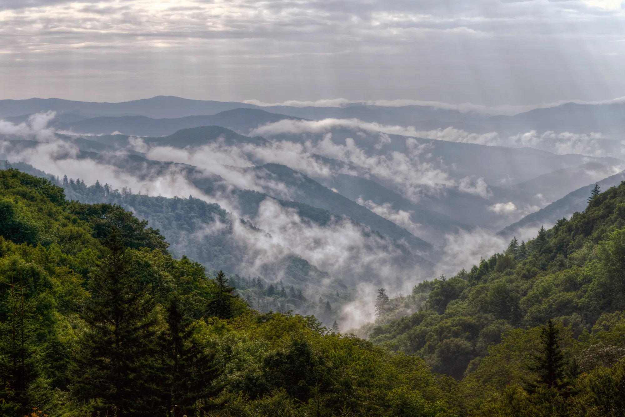 Forested ridgelines and mountain views in Great Smoky Mountains National Park