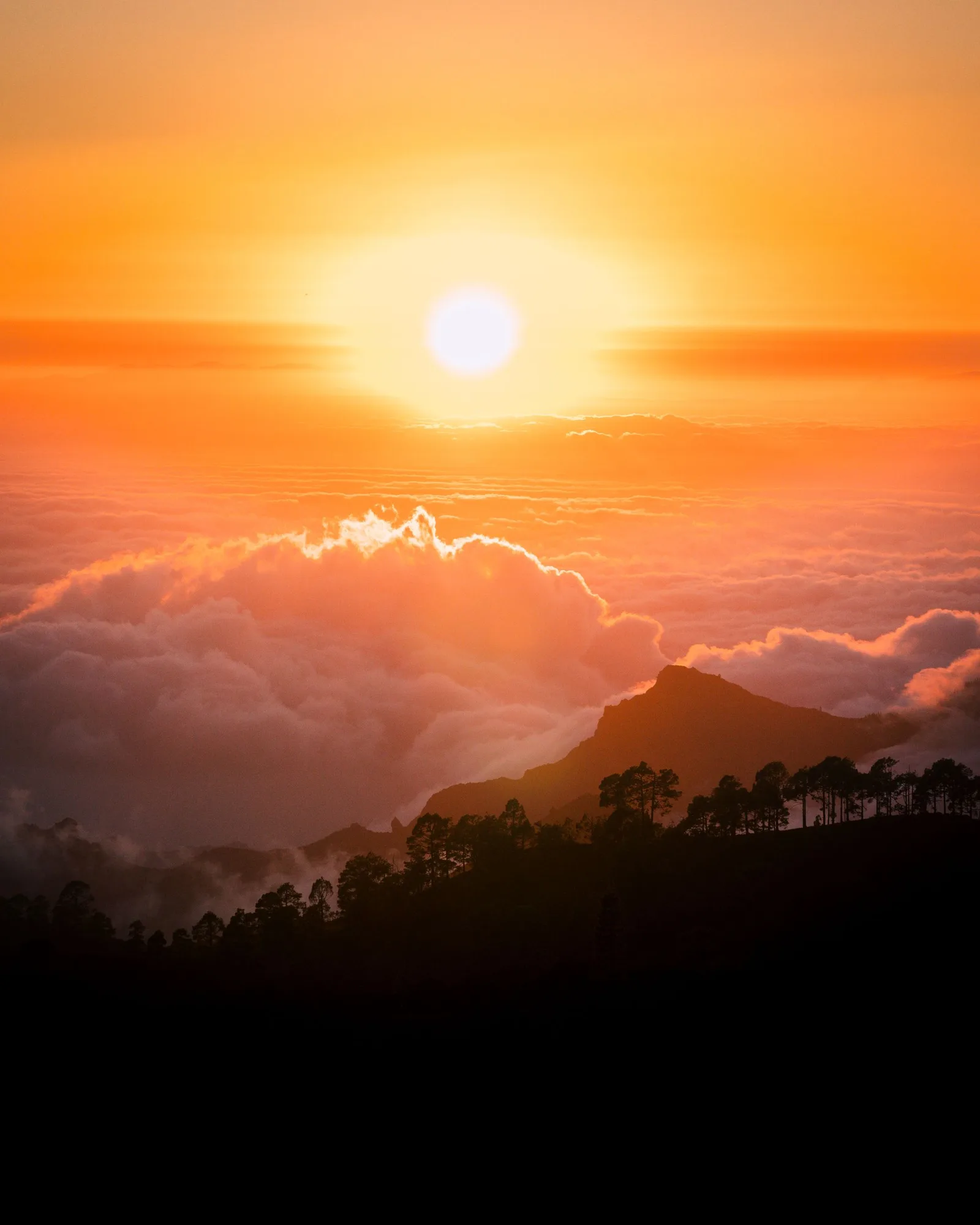 Summit district terrain, Haleakala National Park