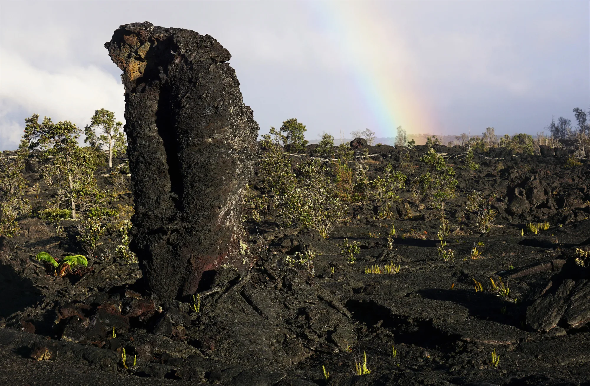 Hardened lava landscape along Chain of Craters Road, Hawaii Volcanoes National Park