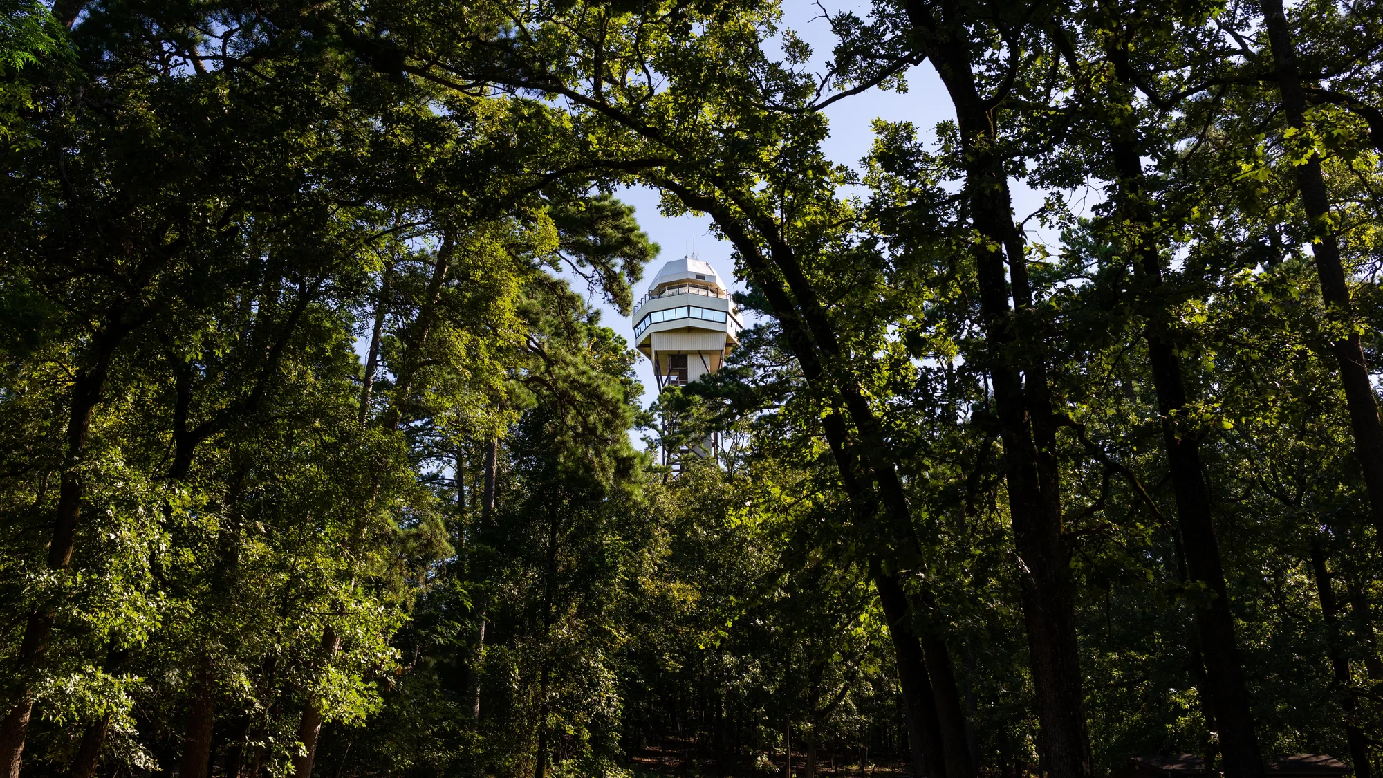 Hot Springs Mountain Tower rising above the forest canopy, Hot Springs National Park