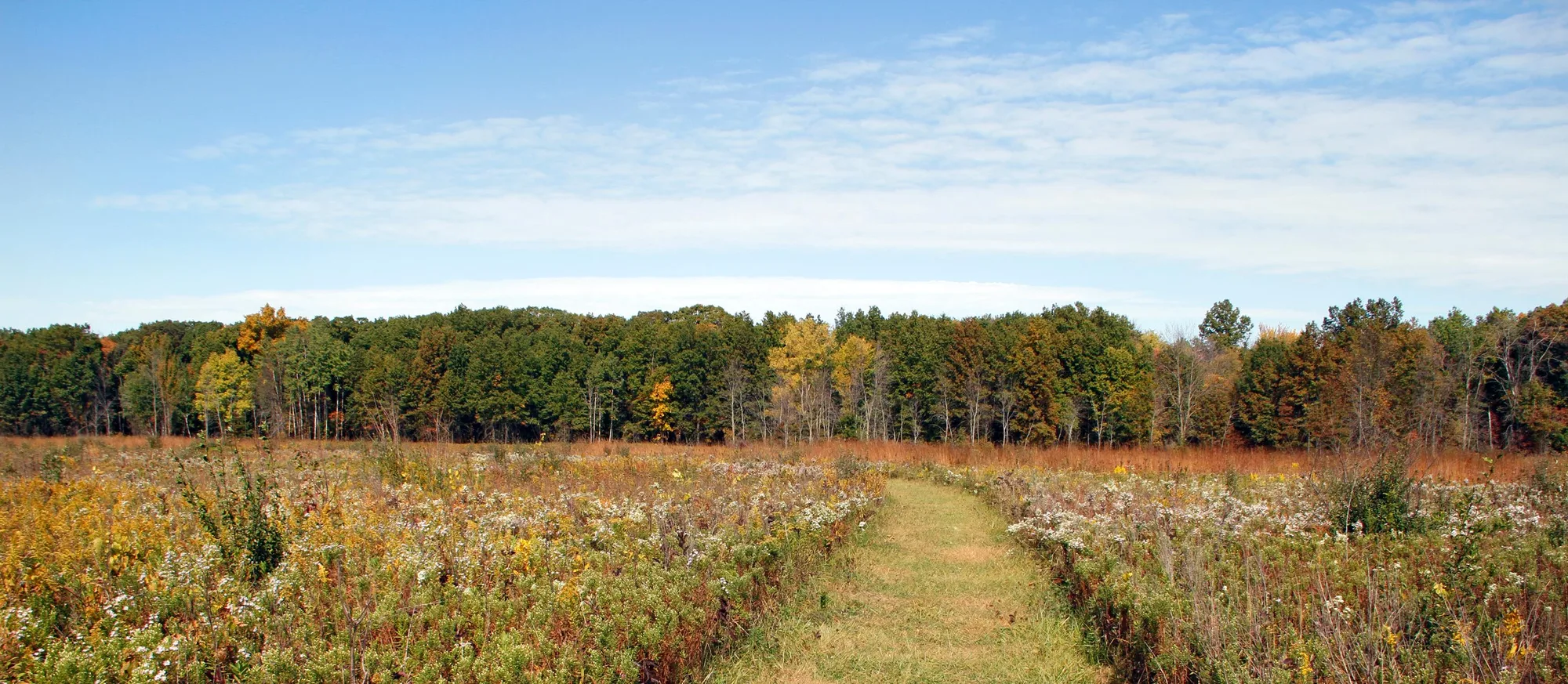 Dune Succession Trail, Indiana Dunes National Park