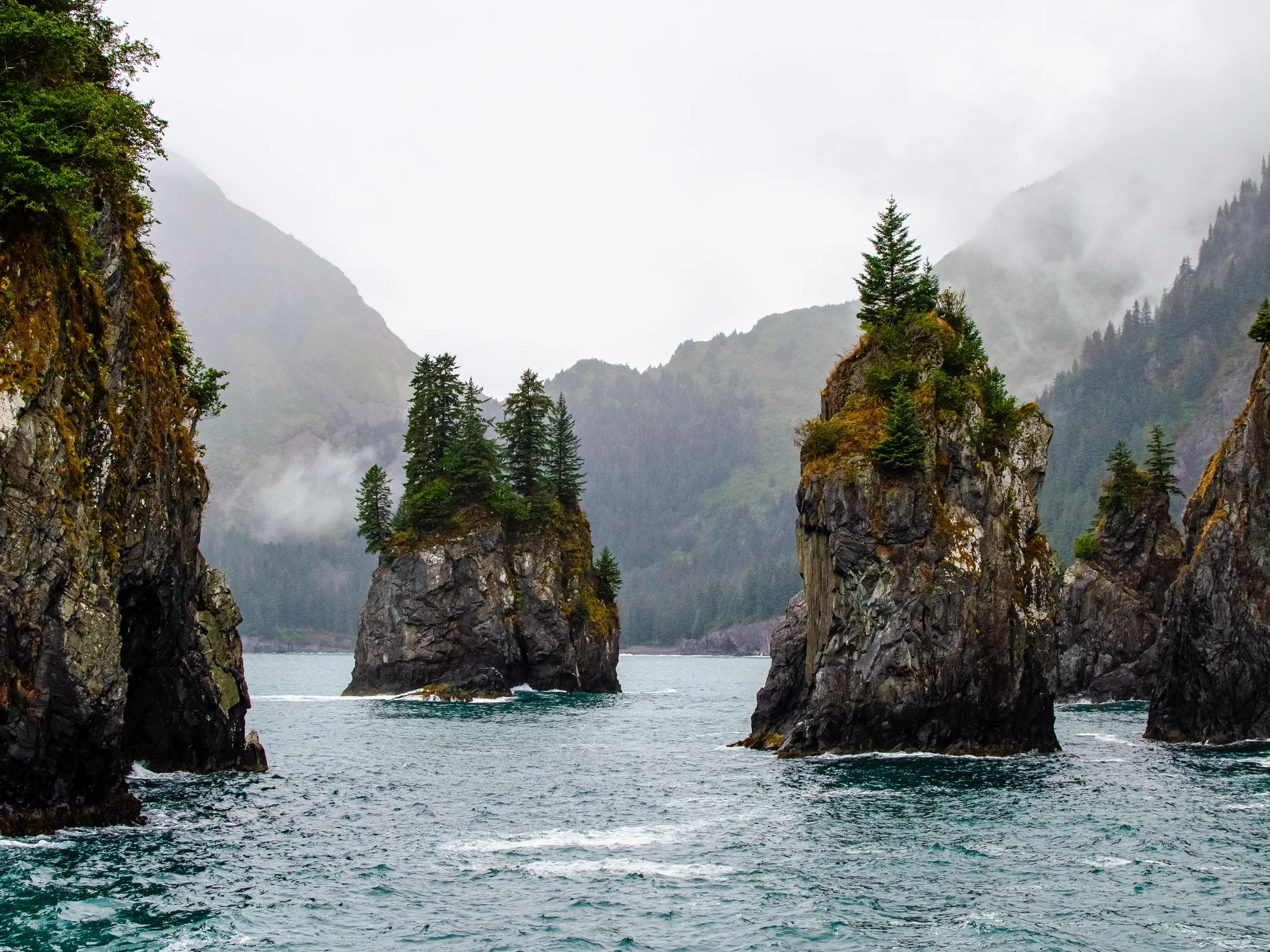 Boat tour waters where orcas are seen at Kenai Fjords National Park