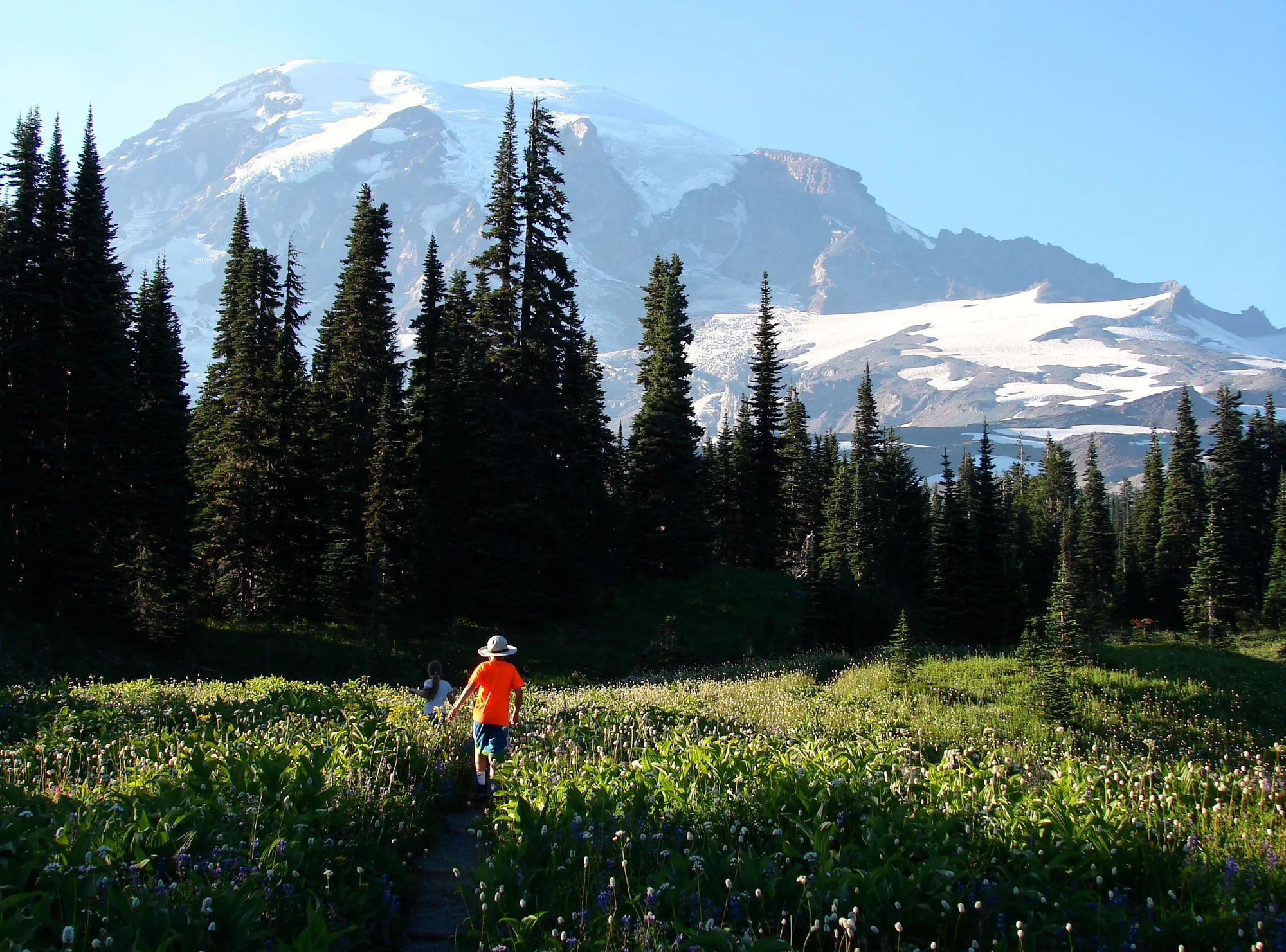 Nisqually Vista Trail overlooking the Nisqually Glacier, Mount Rainier National Park