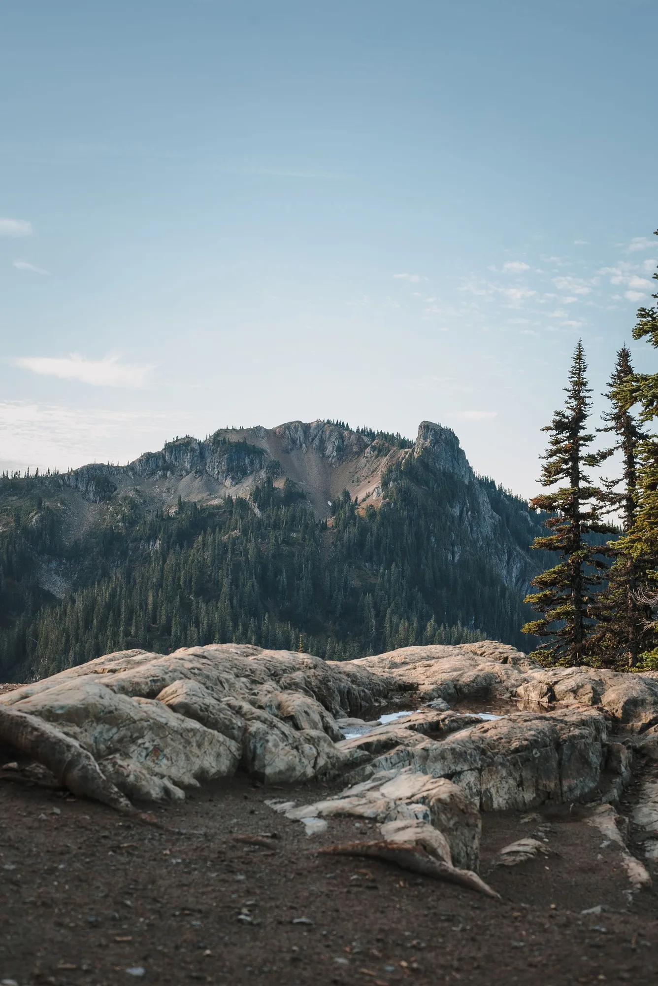 Mount Rainier's summit and upper slopes, Mount Rainier National Park