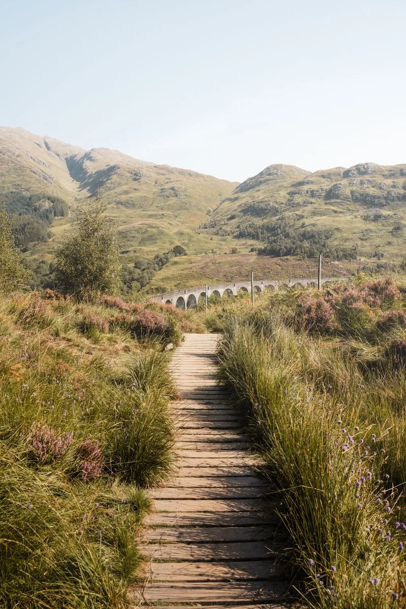 The New River Gorge cutting through the Appalachian Mountains in New River Gorge National Park, West Virginia