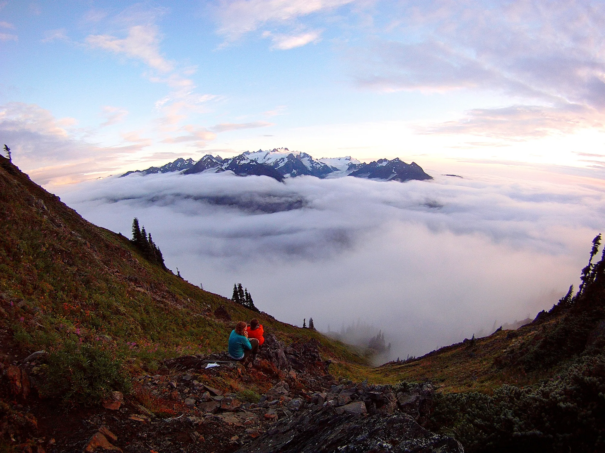 Subalpine meadows and mountain views from Hurricane Ridge, Olympic National Park