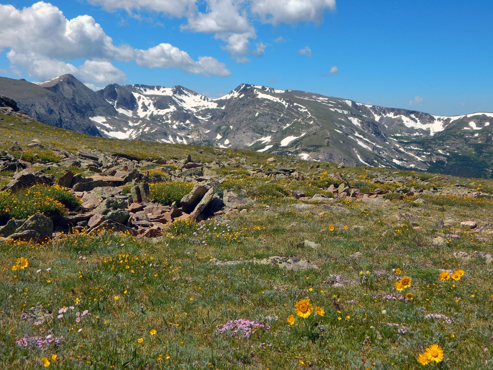 Longs Peak rising above the surrounding terrain, Rocky Mountain National Park