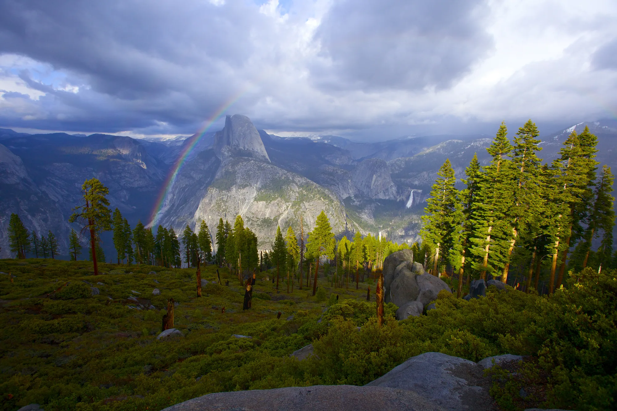 Half Dome rising above Yosemite Valley, Yosemite National Park