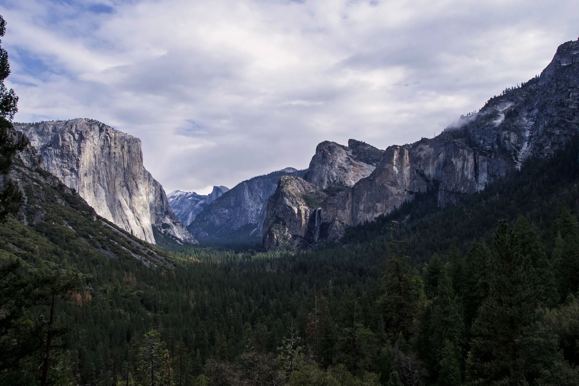 Half Dome's sheer granite face and rounded back rising above Yosemite Valley