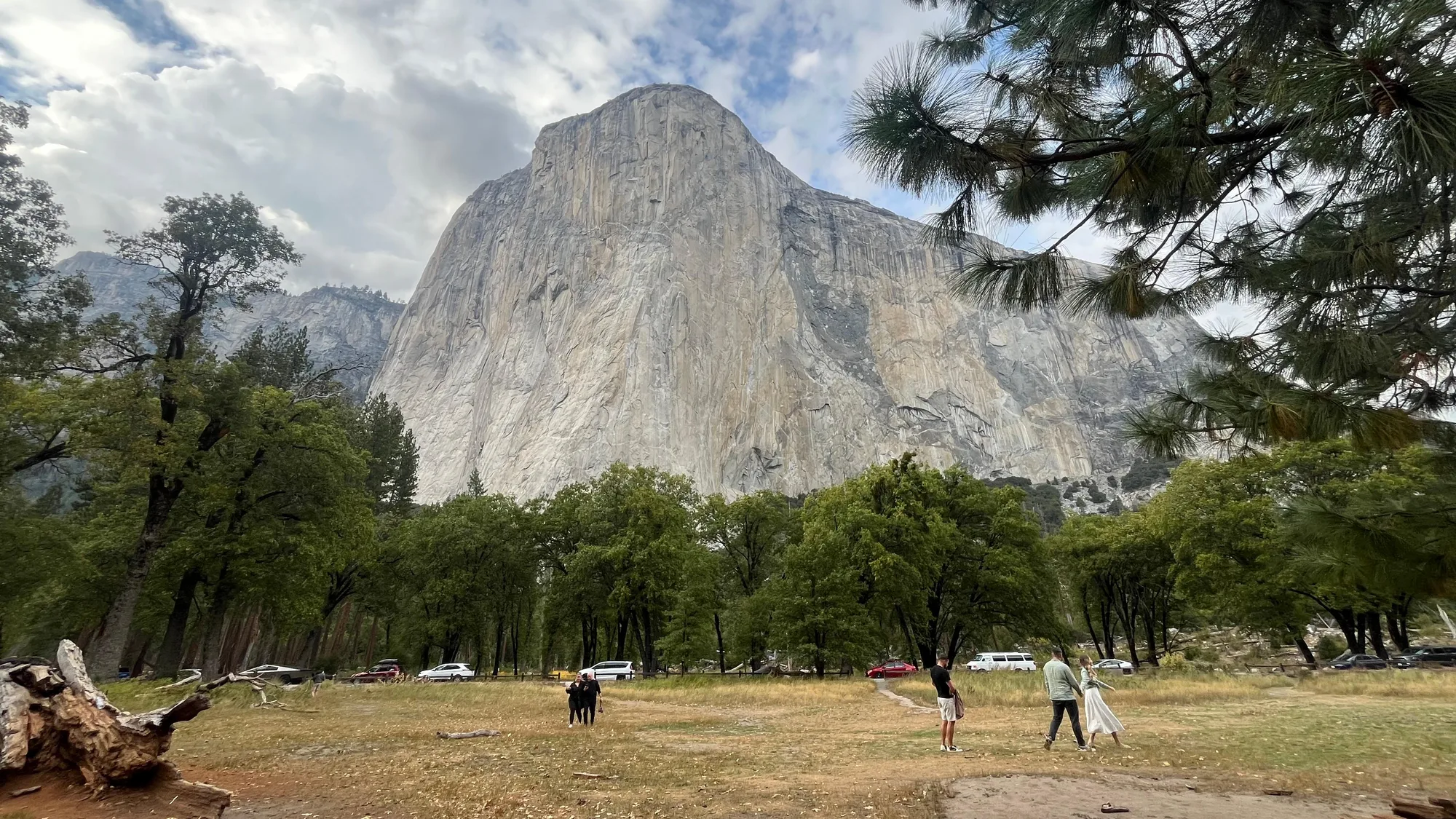 El Capitan's granite face rising above El Capitan Meadow, Yosemite National Park
